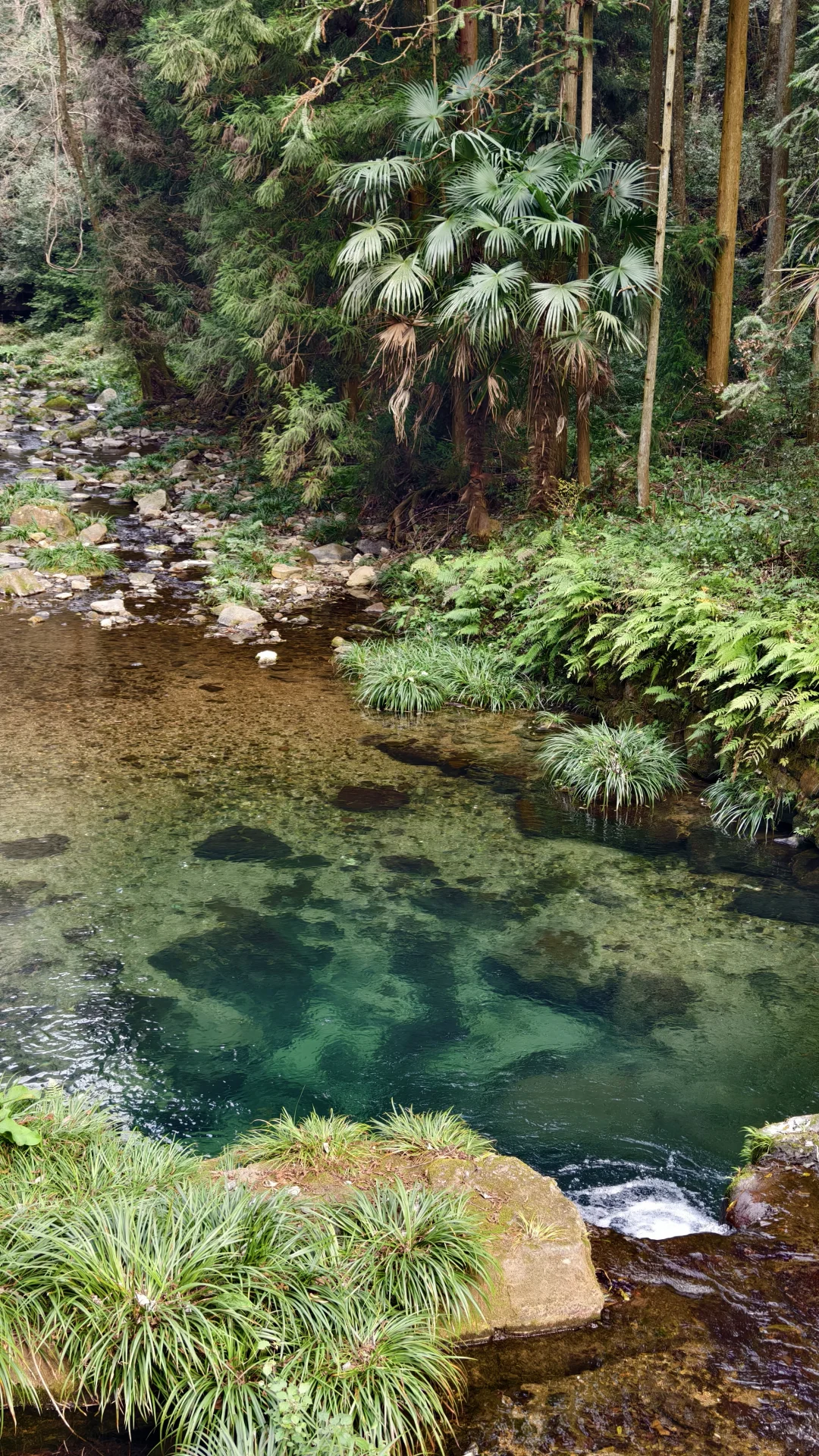 周末牛马|长沙＋天门山＋张家界＋凤凰古城