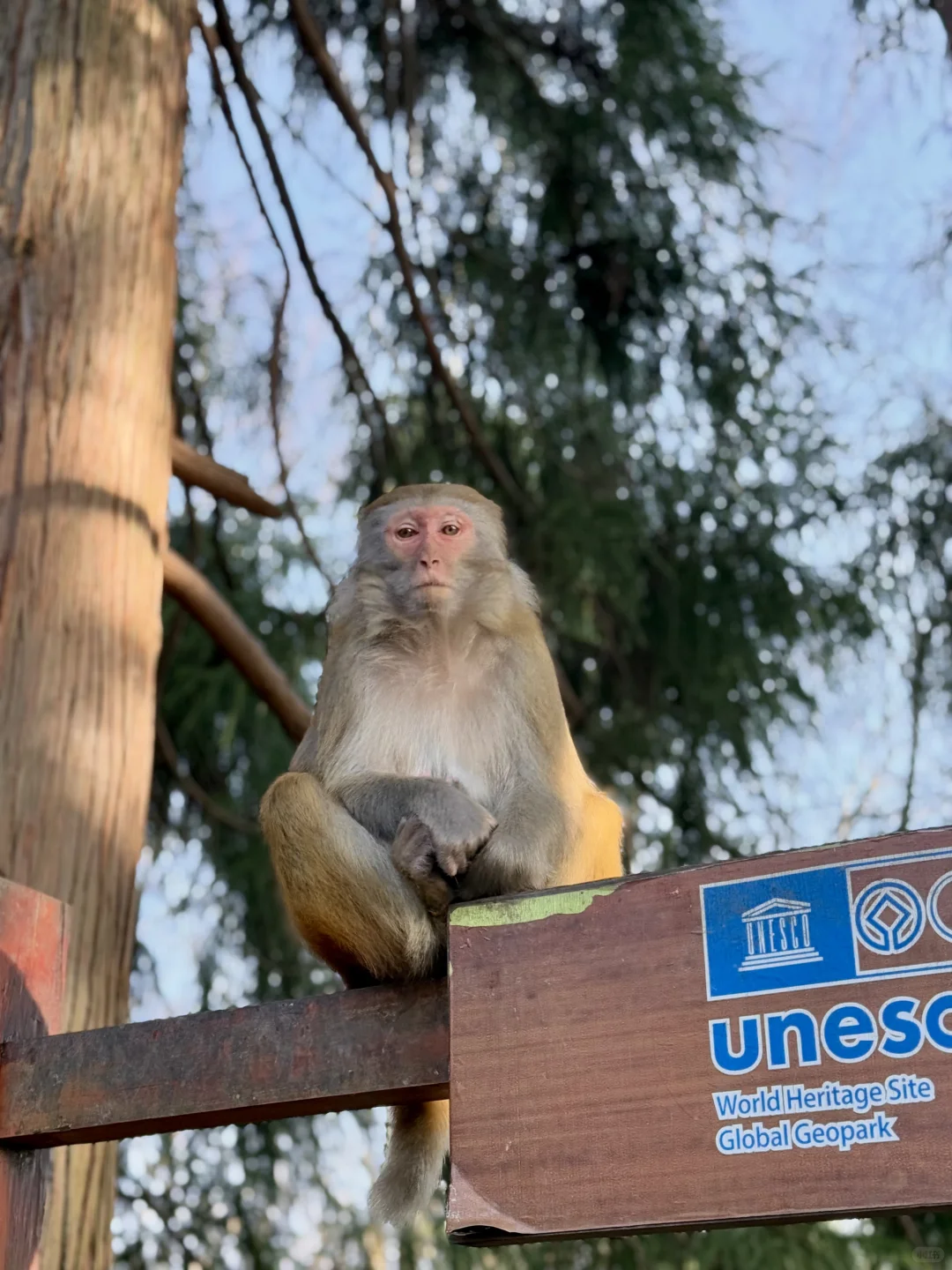 📍𝐙𝐡𝐚𝐧𝐠 𝐉𝐢𝐚 𝐉𝐢𝐞