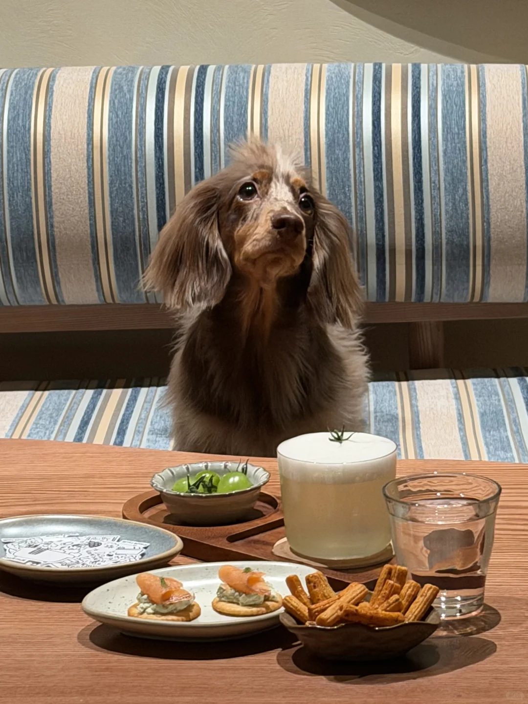 长沙新开的！！ROOMTOUR 2808 像在朋友家喝酒