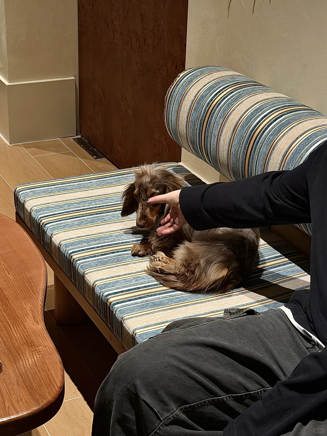 长沙新开的！！ROOMTOUR 2808 像在朋友家喝酒