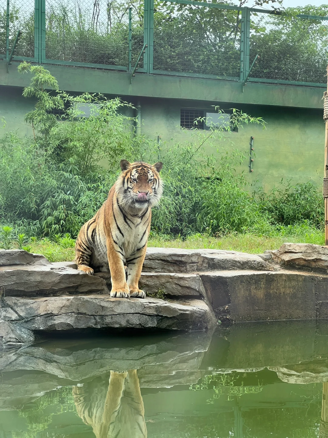 湖南常德野生动物园1日游攻略