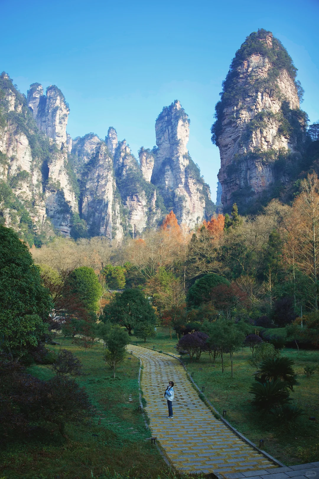 📍𝐙𝐡𝐚𝐧𝐠 𝐉𝐢𝐚 𝐉𝐢𝐞