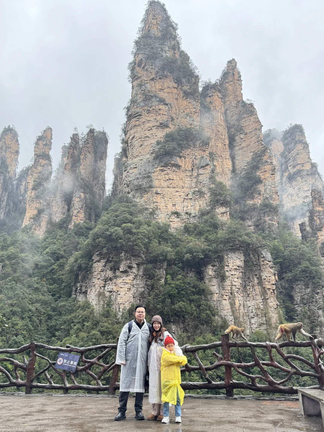 張家界國家森林公園#2