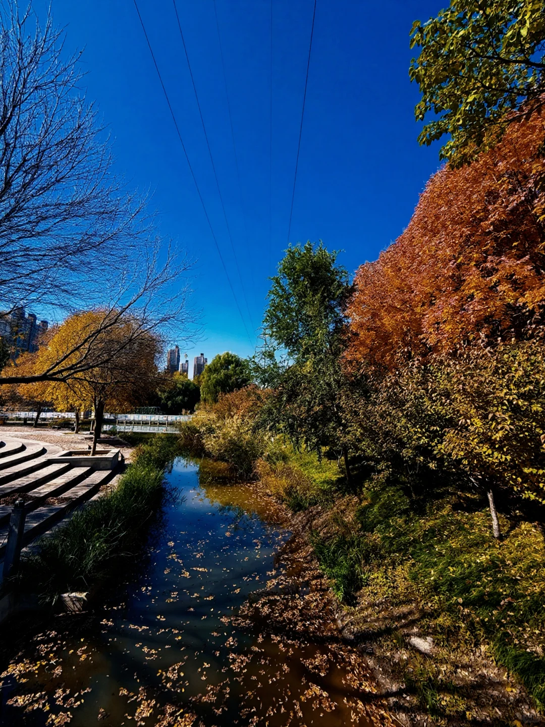 后悔没早点来！这次桃花源记我终于读懂了