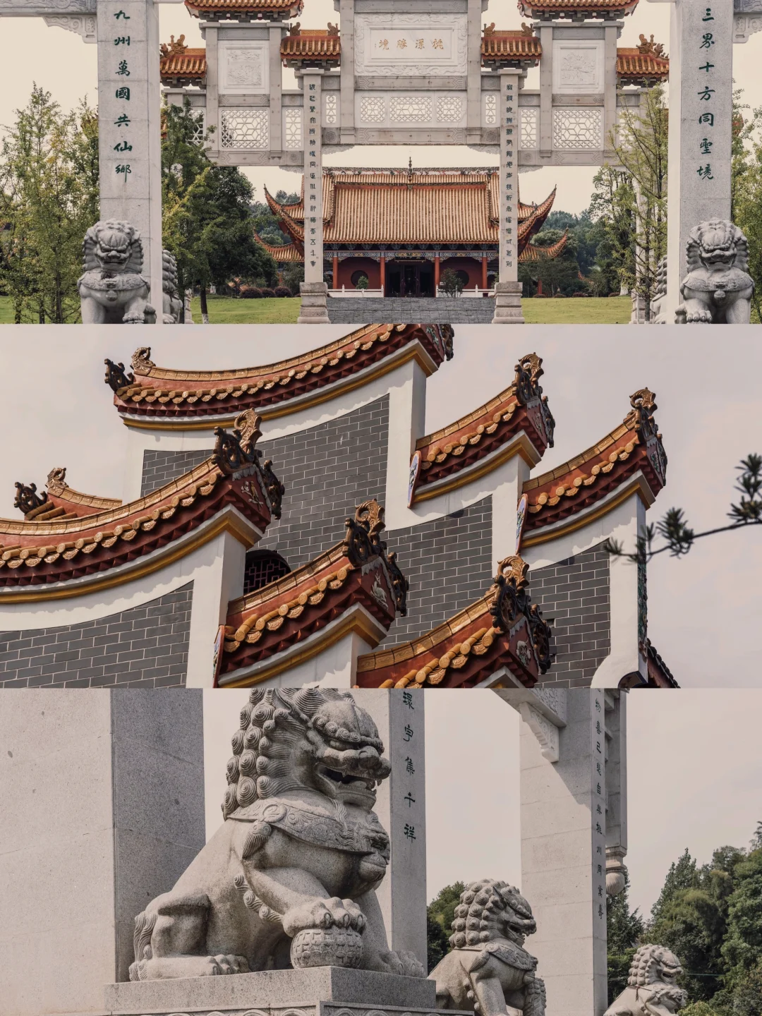 后悔没早点来！这次桃花源记我终于读懂了