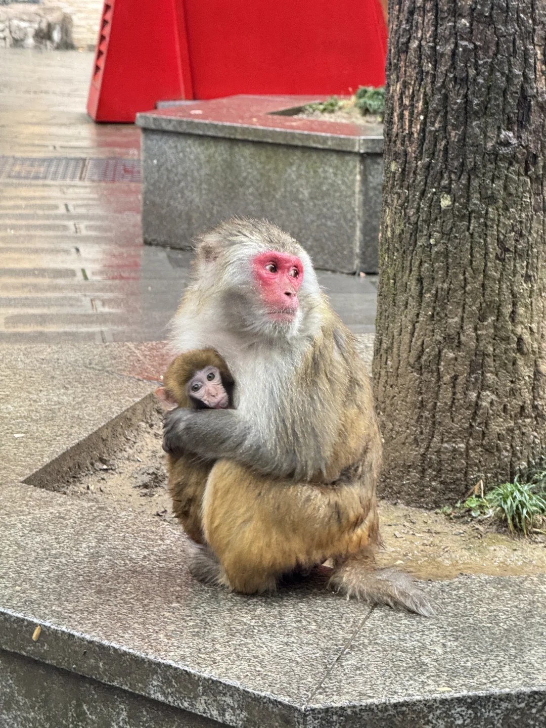 張家界國家森林公園#1
