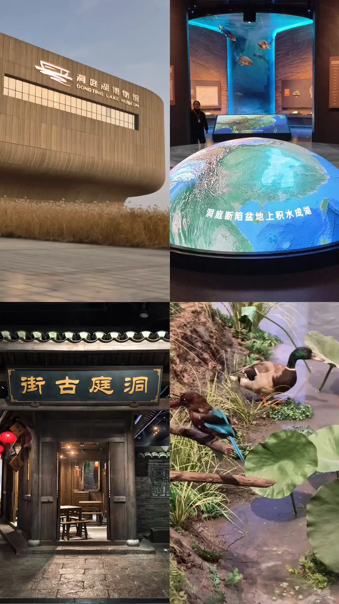 长沙周边度假丨躺平在独栋别墅看湖景听鸟叫