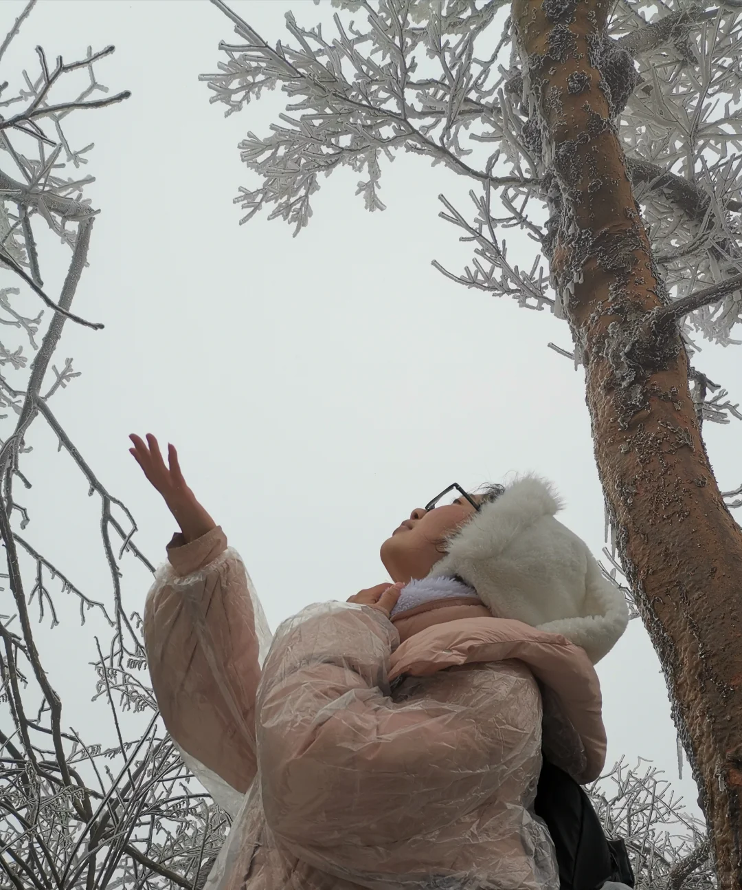今年三月的天门山