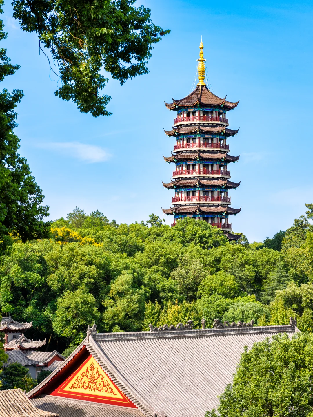 常德｜没想到桃花源里的城市居然这么好玩！