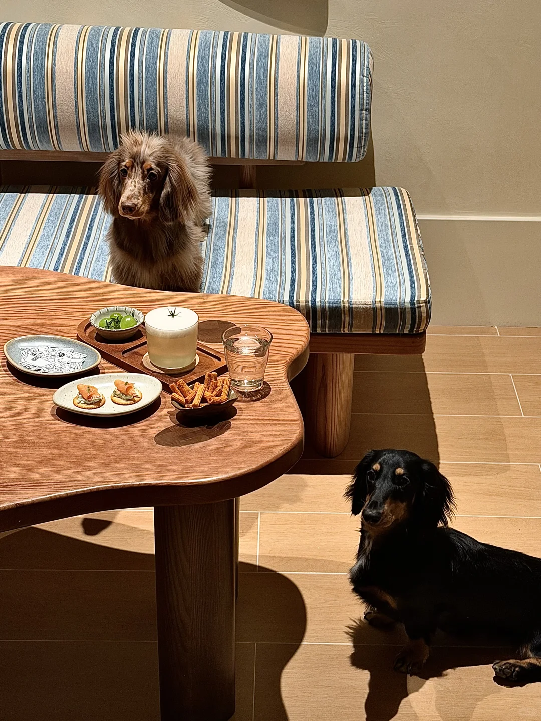 长沙新开的！！ROOMTOUR 2808 像在朋友家喝酒