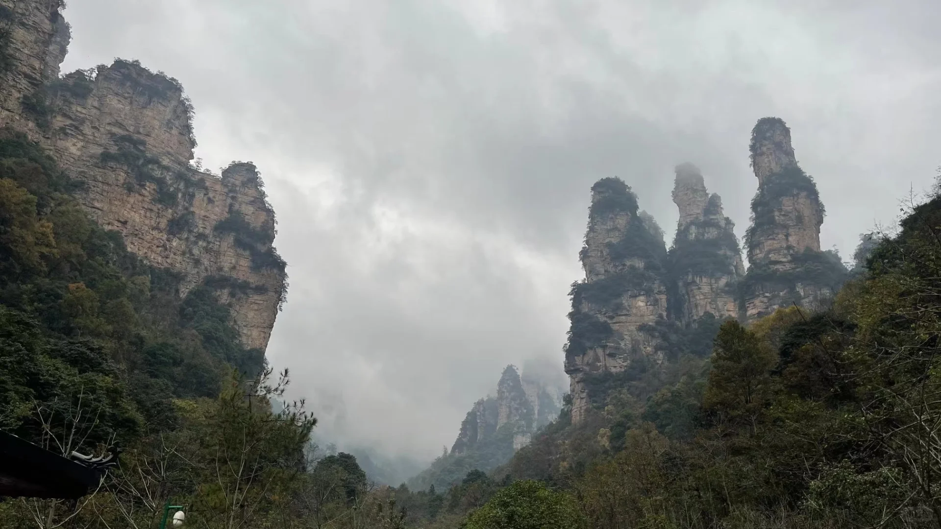 张家界｜不识庐山真面目