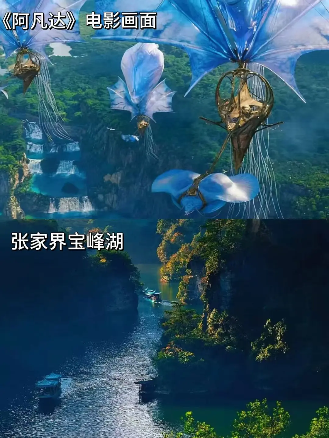 《阿凡达3》来啦！在张家界get潘多拉同款✨
