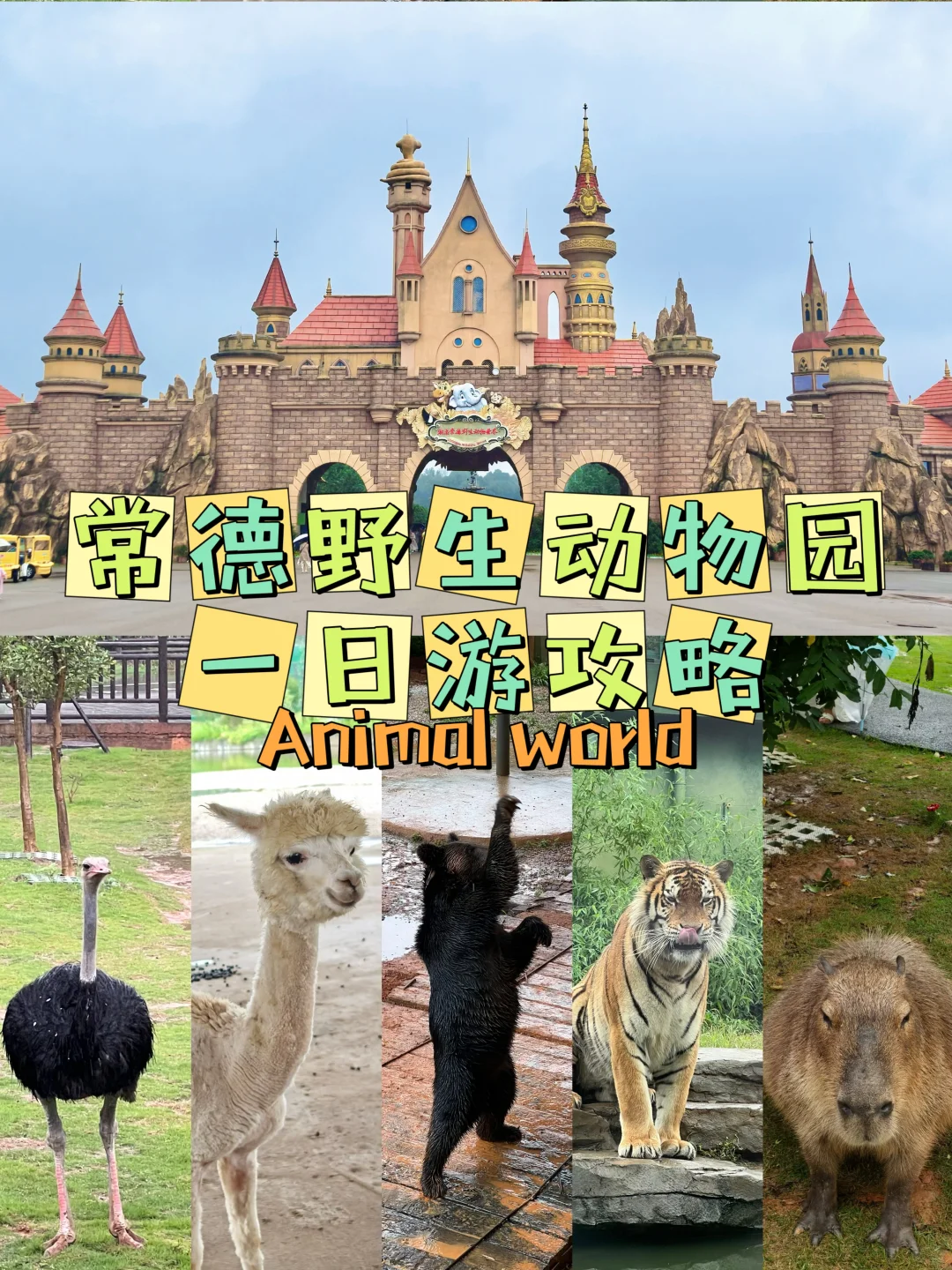 湖南常德野生动物园1日游攻略
