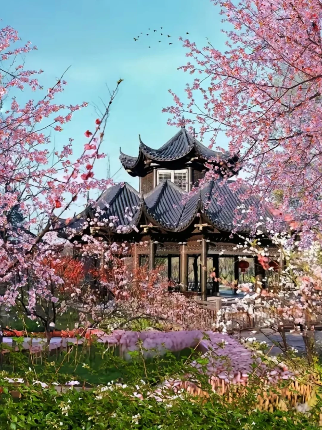 🌸长沙出发1h！常德桃花源小众秘境攻略