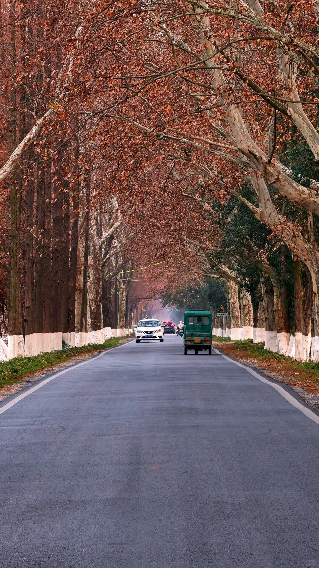 长沙周边度假丨躺平在独栋别墅看湖景听鸟叫