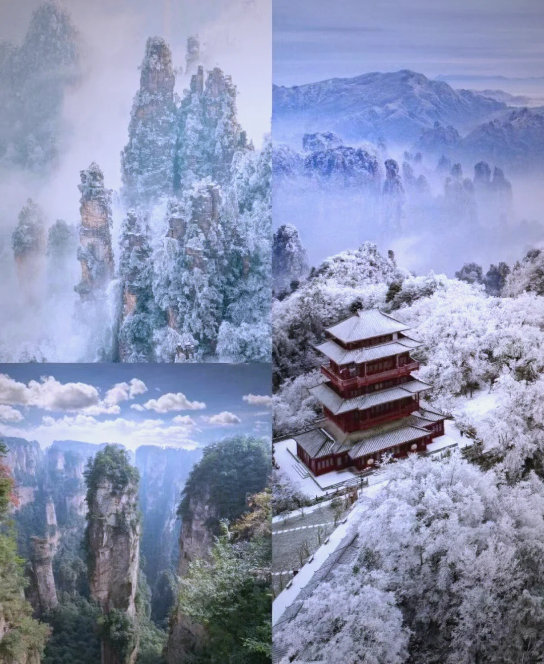 ❄️ 张家界：冰雪峰林+温泉的仙境暖冬之旅