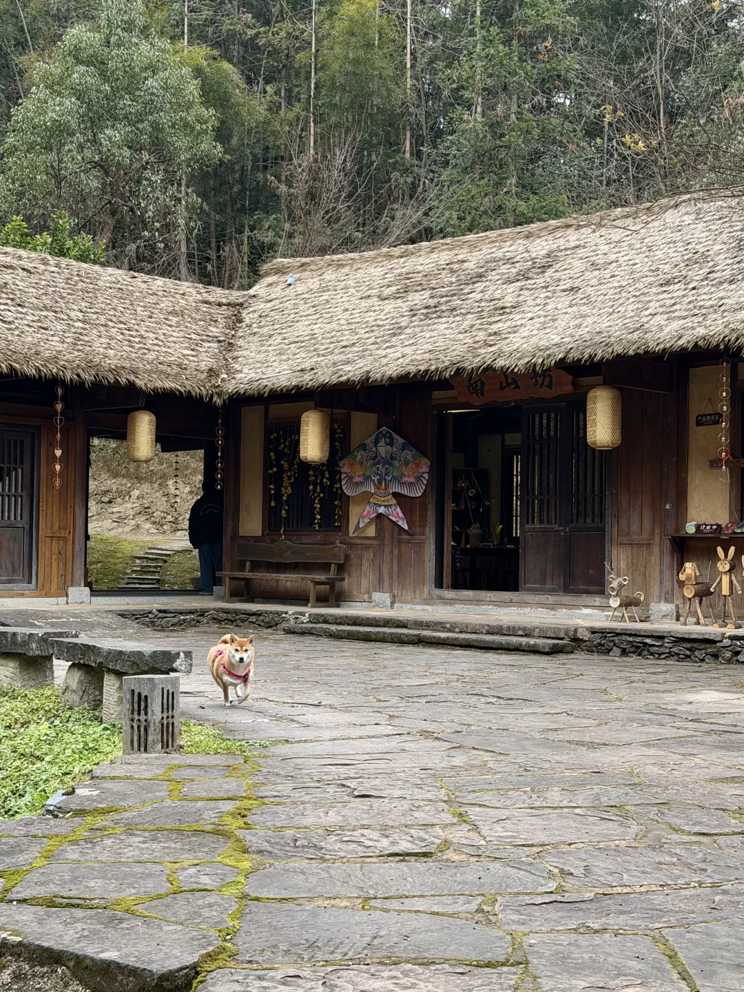 在常德/逃离城市 来世外桃源度过神仙周末🌳