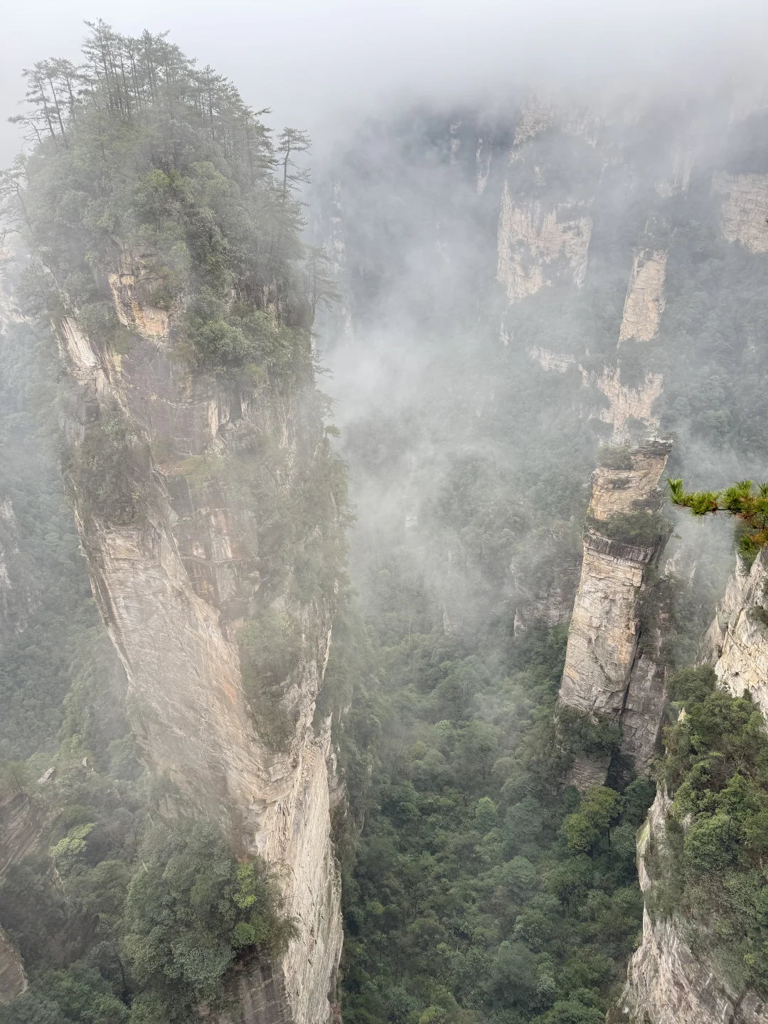 張家界國家森林公園#2