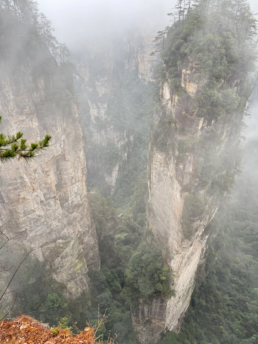 張家界國家森林公園#2