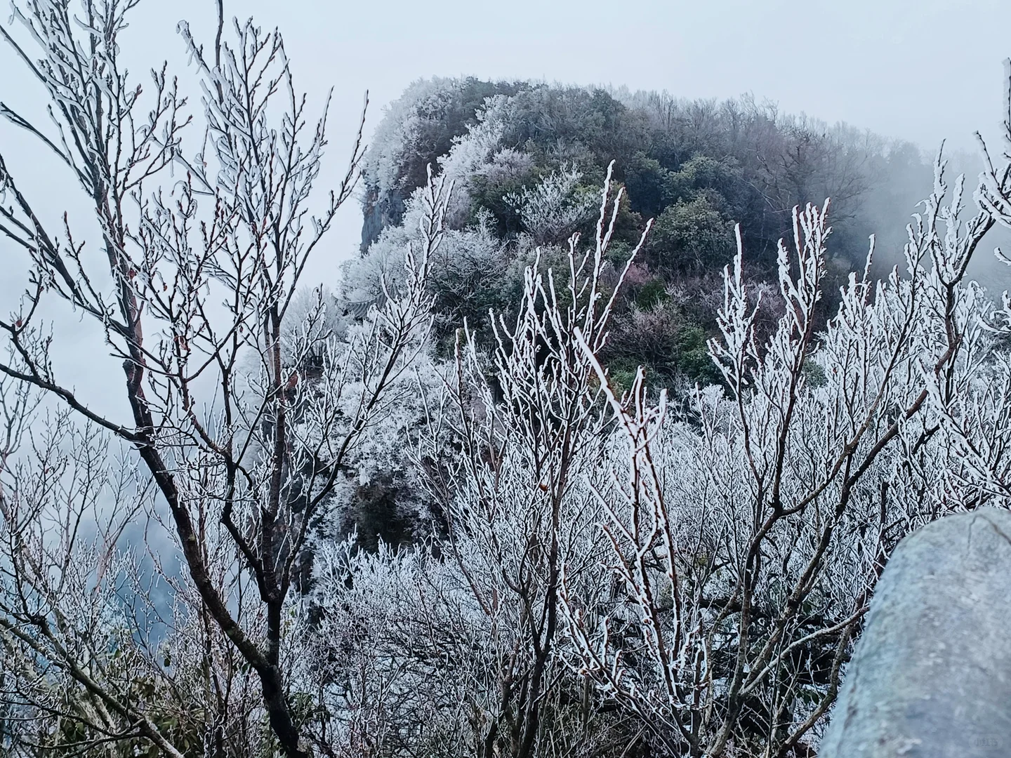 天门山今天有一点雾凇