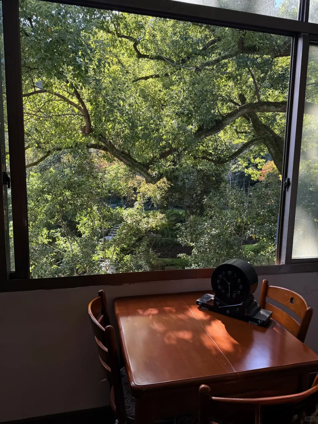 袁家岭租房，长沙树景房 2室1厅1300