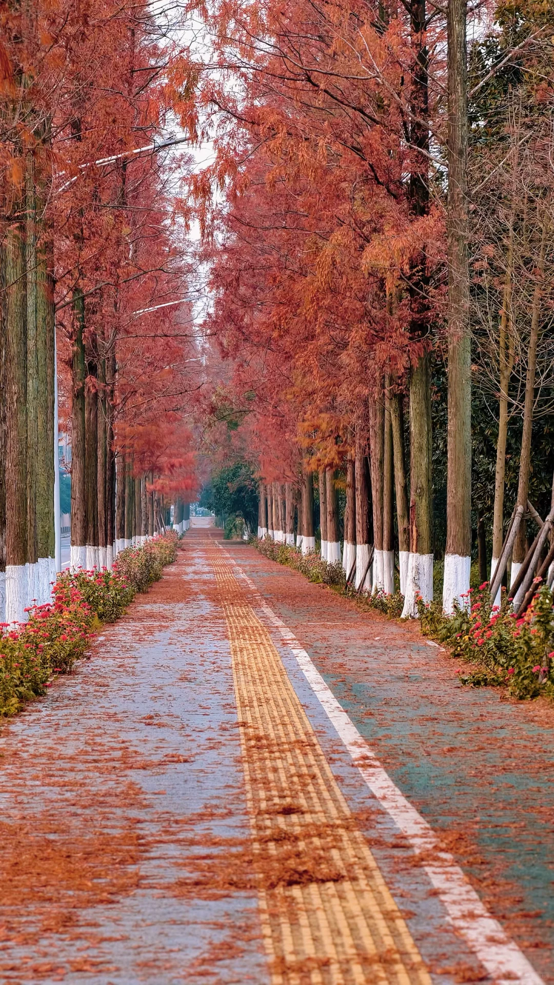 长沙周边度假丨躺平在独栋别墅看湖景听鸟叫