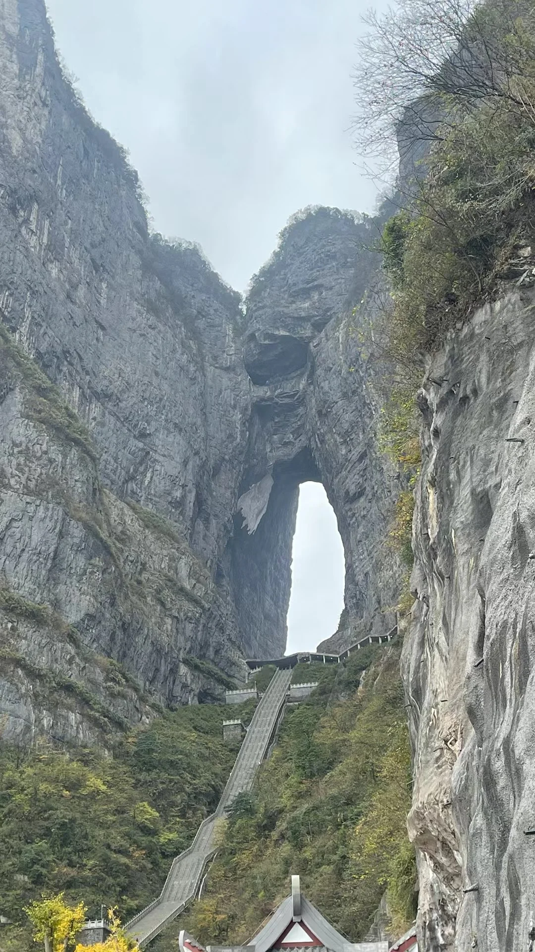 张家界｜不识庐山真面目