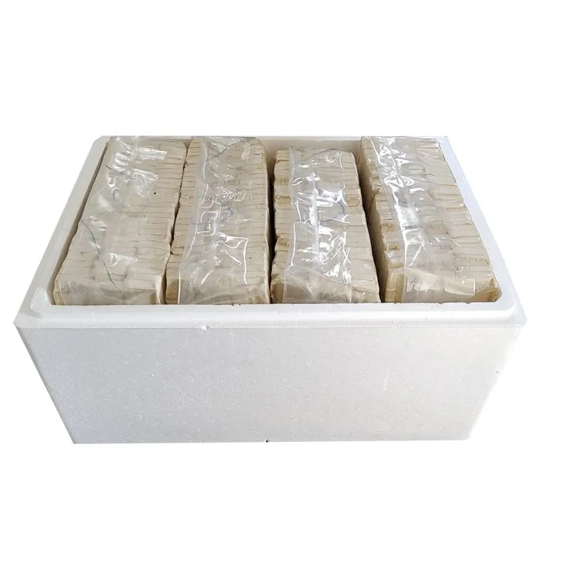 长沙臭豆腐生胚半成品，正宗湖南味来🍃