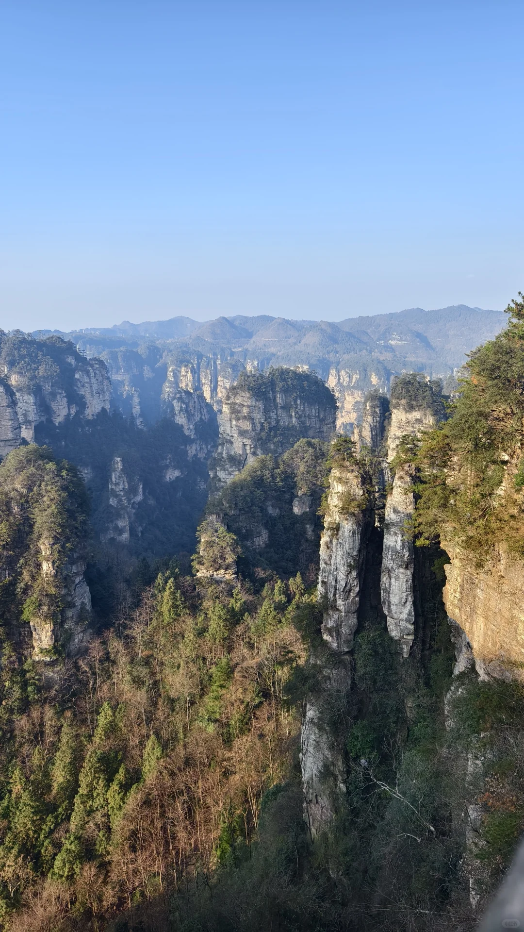 周末牛马|长沙＋天门山＋张家界＋凤凰古城