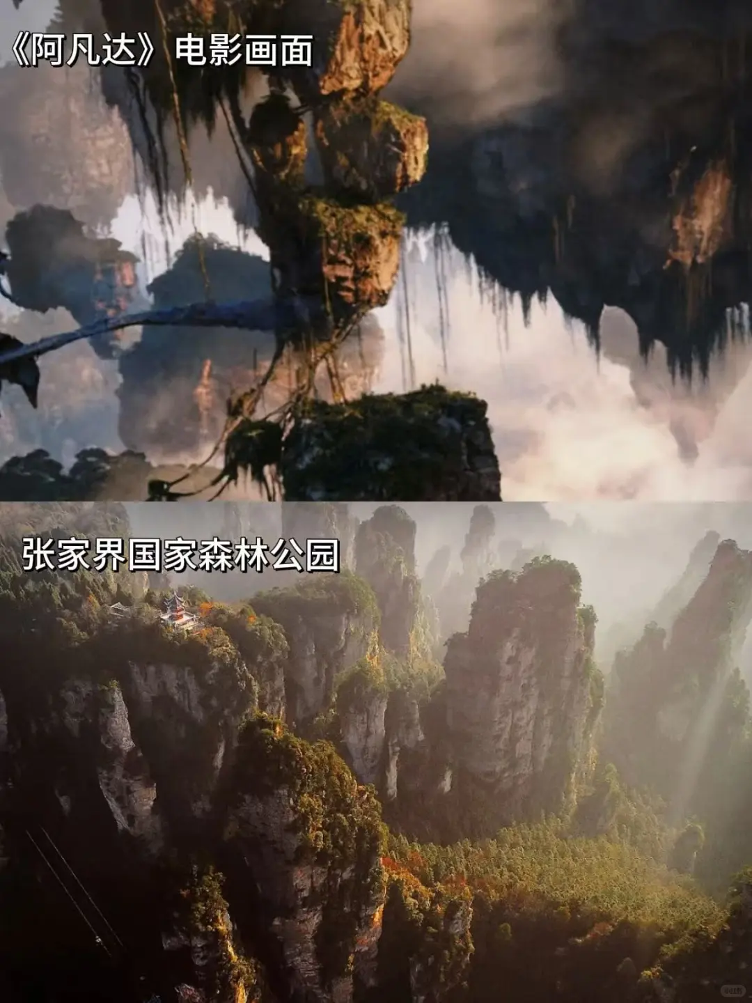 《阿凡达3》来啦！在张家界get潘多拉同款✨