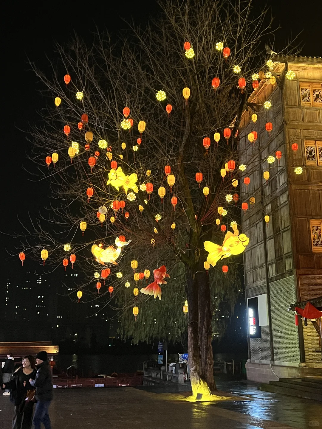 打卡常德最美年味老街！🏮