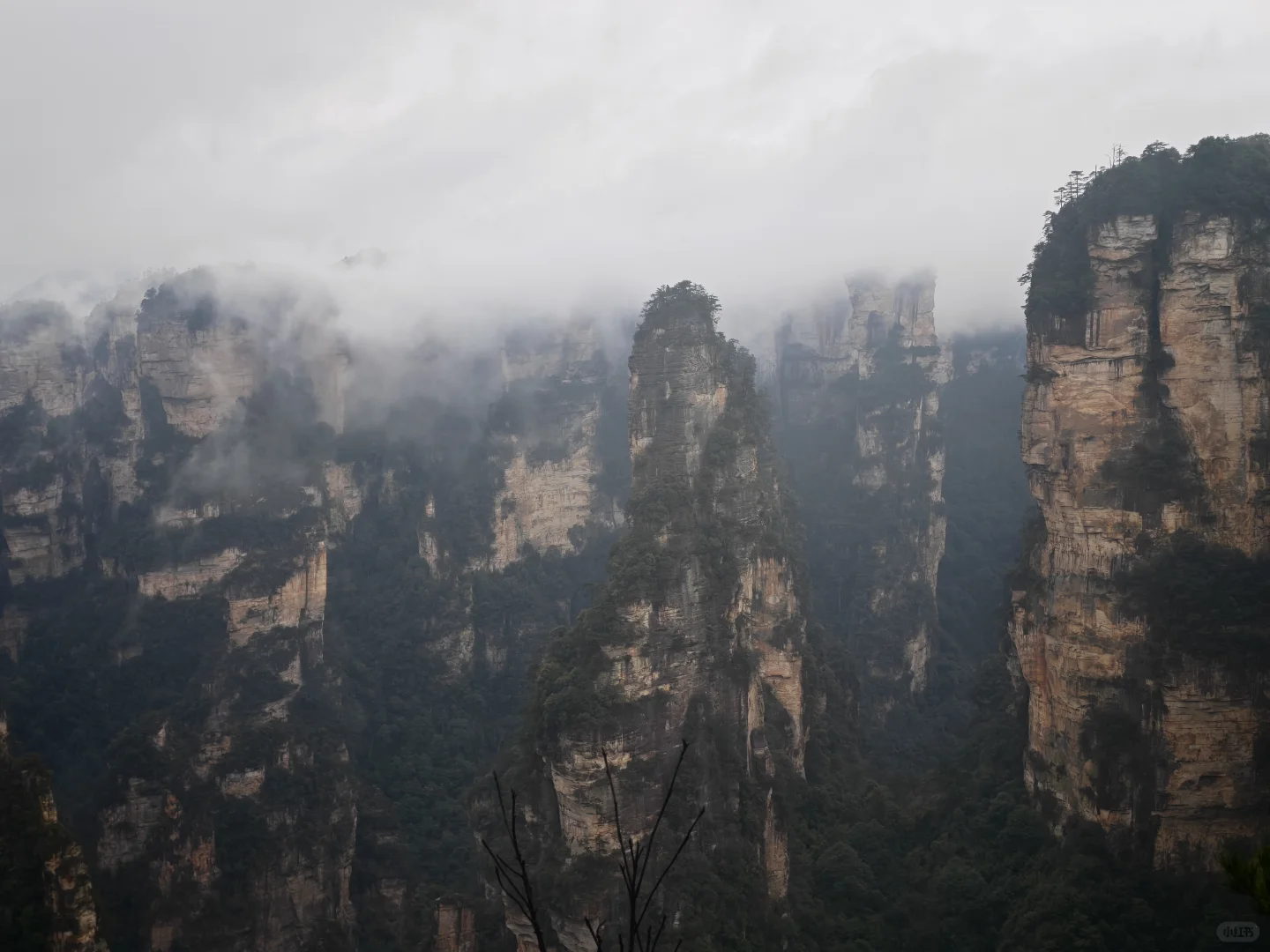 当震撼映入眼帘