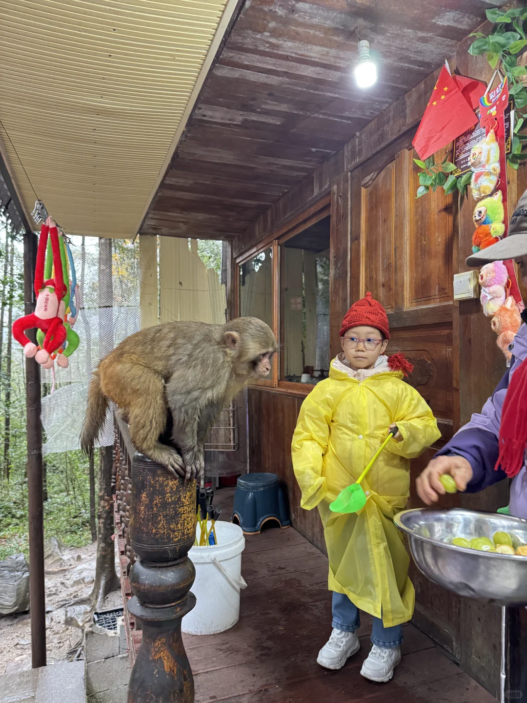 張家界國家森林公園#2