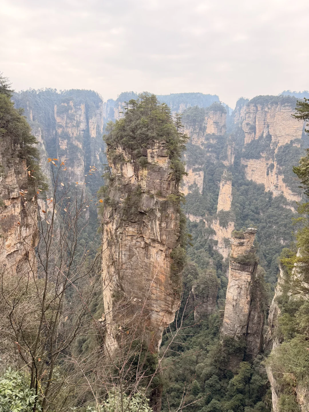 这都啥玩意儿啊！天门山你别太离谱！
