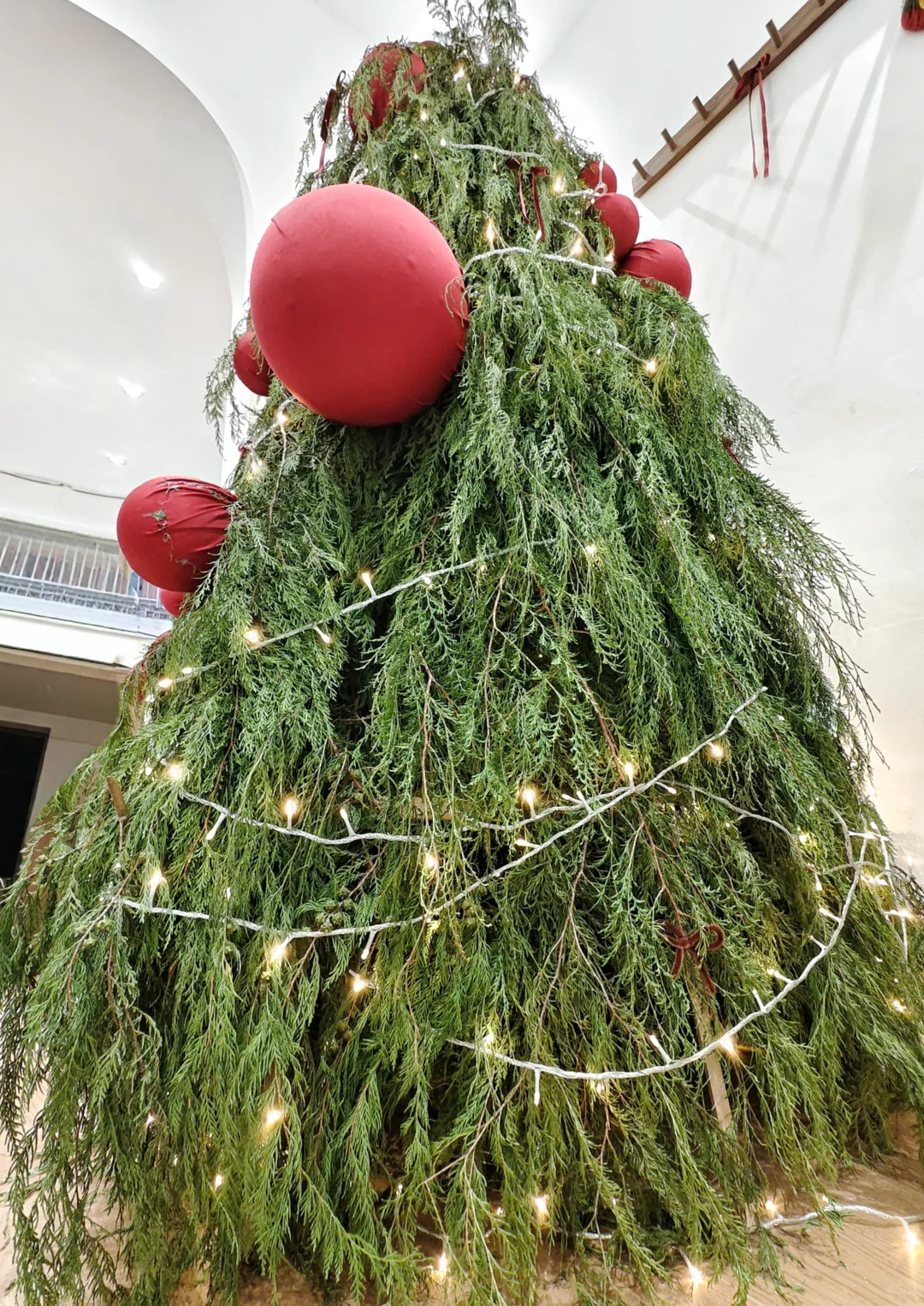 张家界！圣诞出片氛围拉满的宝藏小店🎄