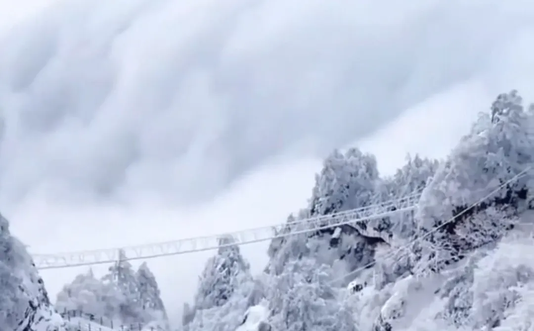 广东的朋友们，不来张家界看漂亮雪❄️吗