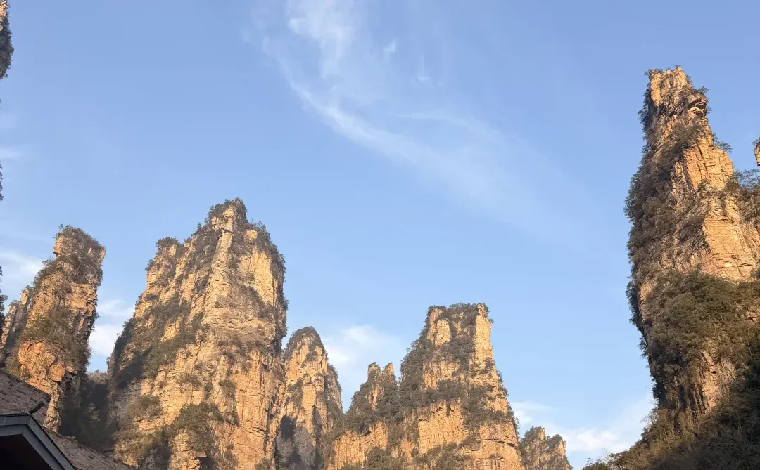 这都啥玩意儿啊！天门山你别太离谱！