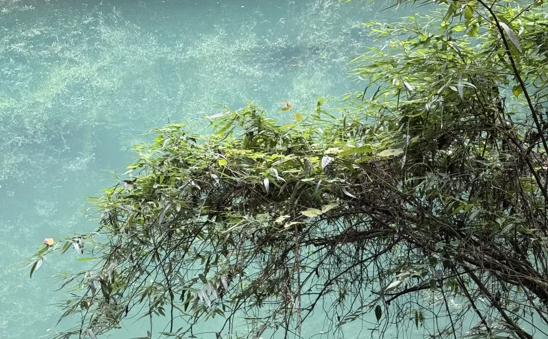 张家界最推荐酒店-四季来 •溪畔（已住）