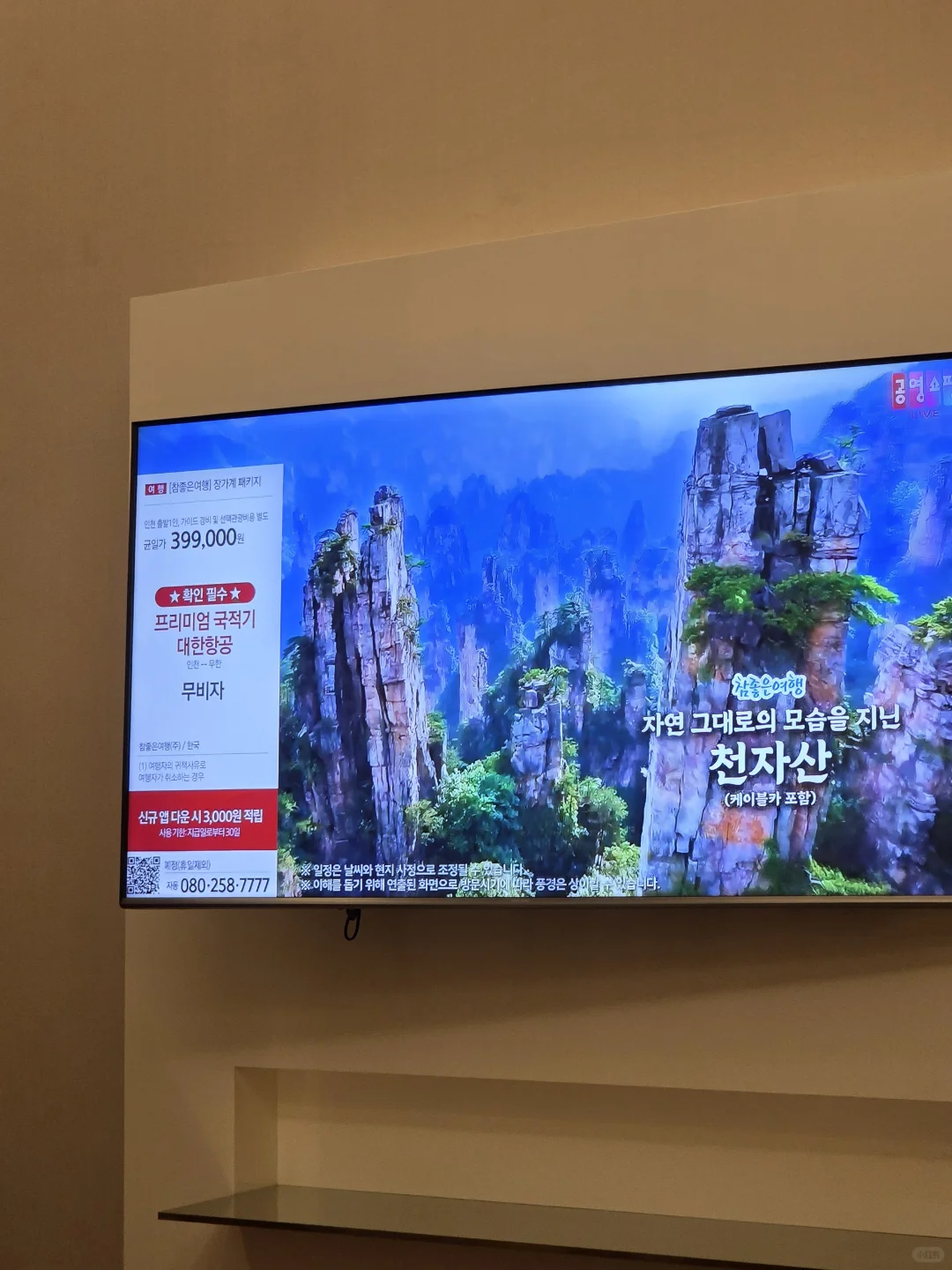 张家界果然是韩网顶流 IP⛰️