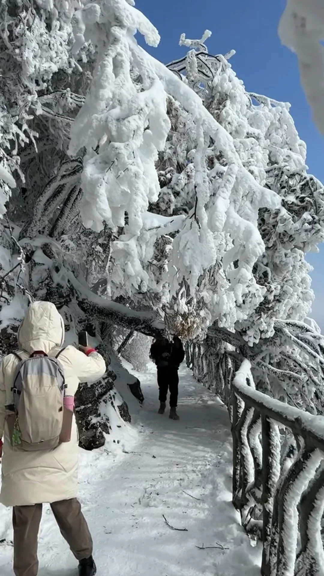 广东的朋友们，不来张家界看漂亮雪❄️吗