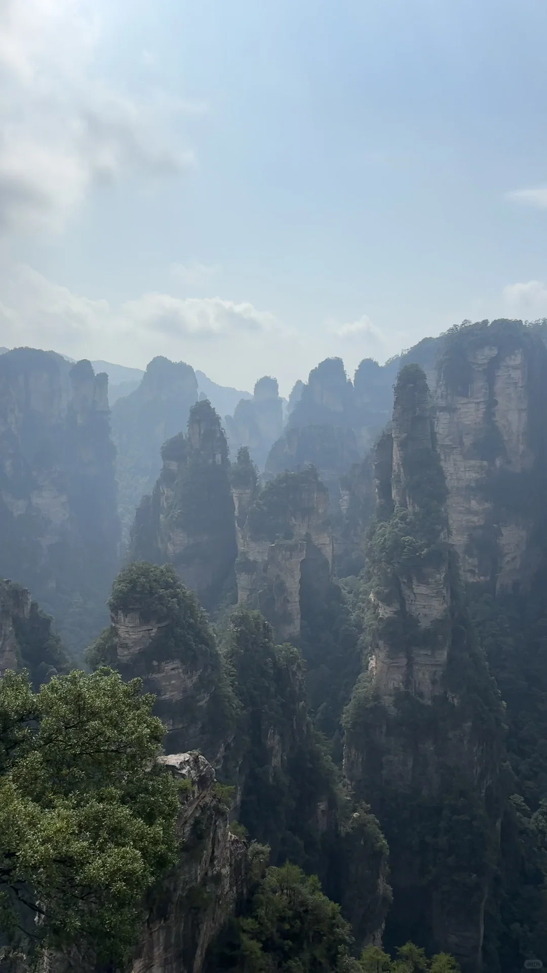 人均2900！武汉出发湖南5天4晚攻略✨ 3城不绕