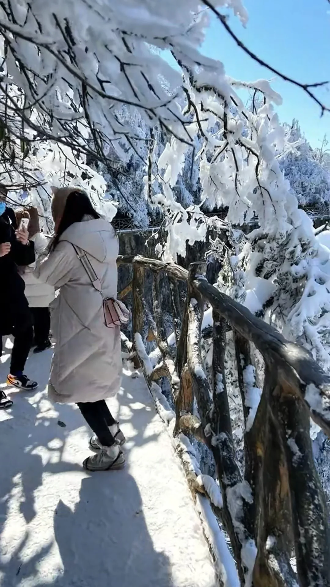 广东的朋友们，不来张家界看漂亮雪❄️吗