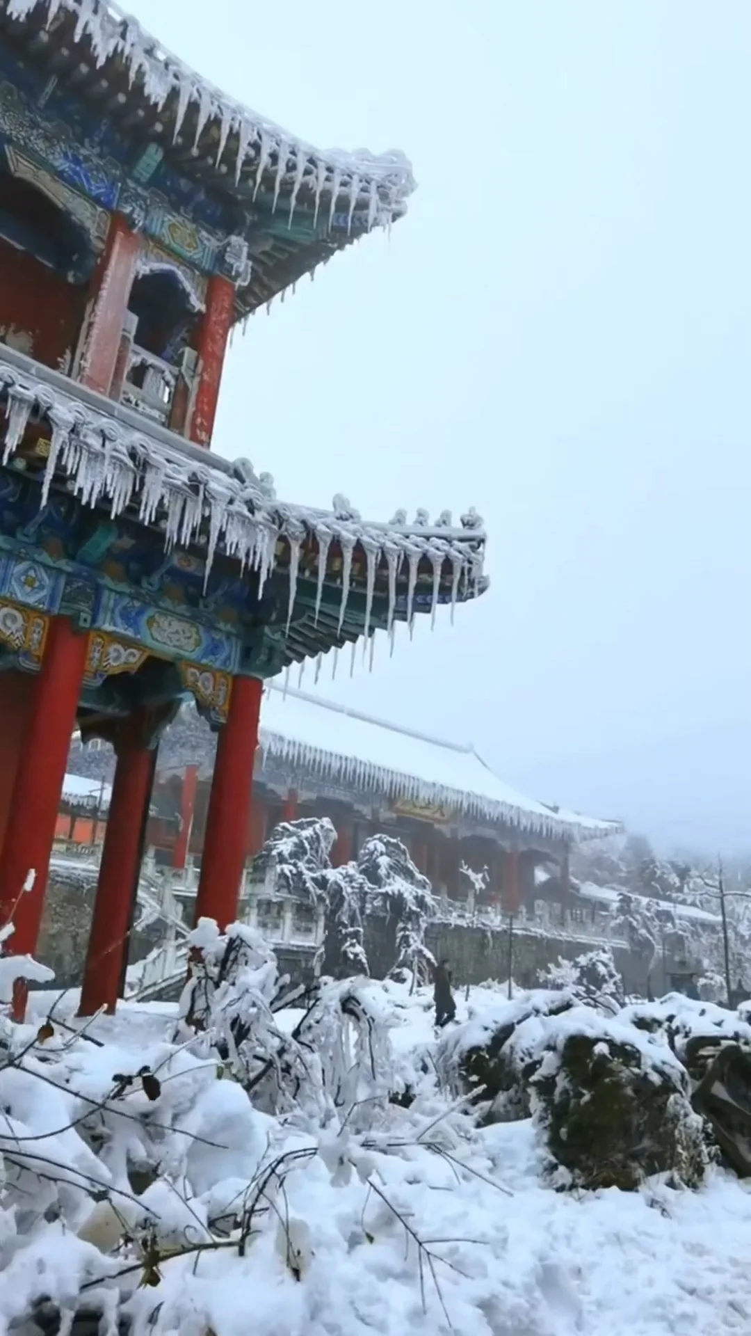 广东的朋友们，不来张家界看漂亮雪❄️吗