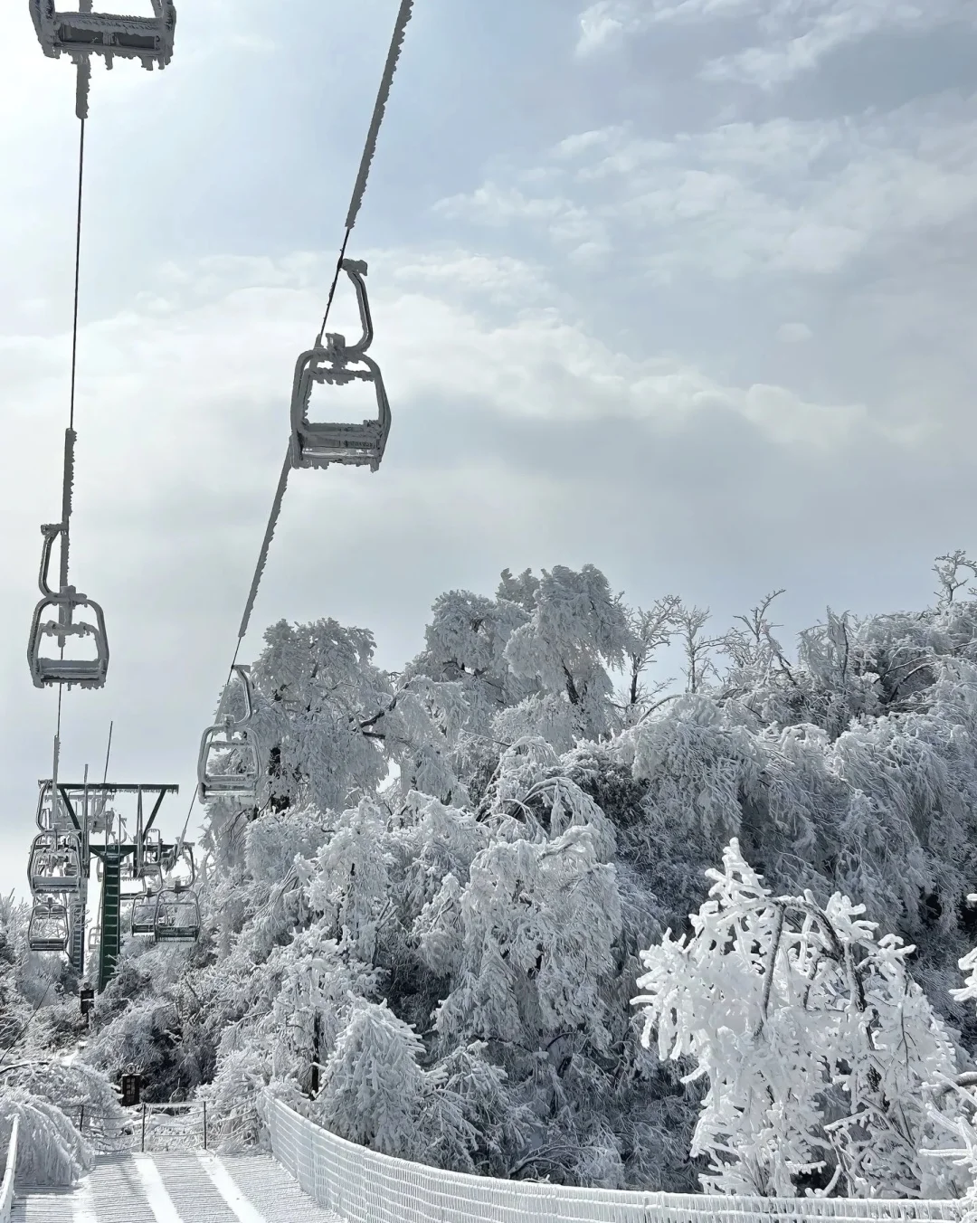 天门山的初雪❄️