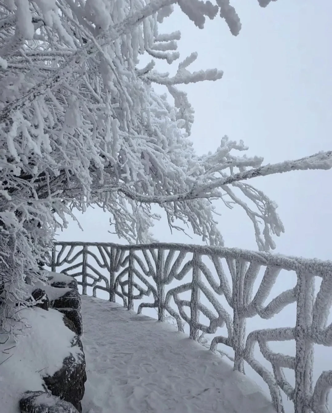 天门山的初雪❄️