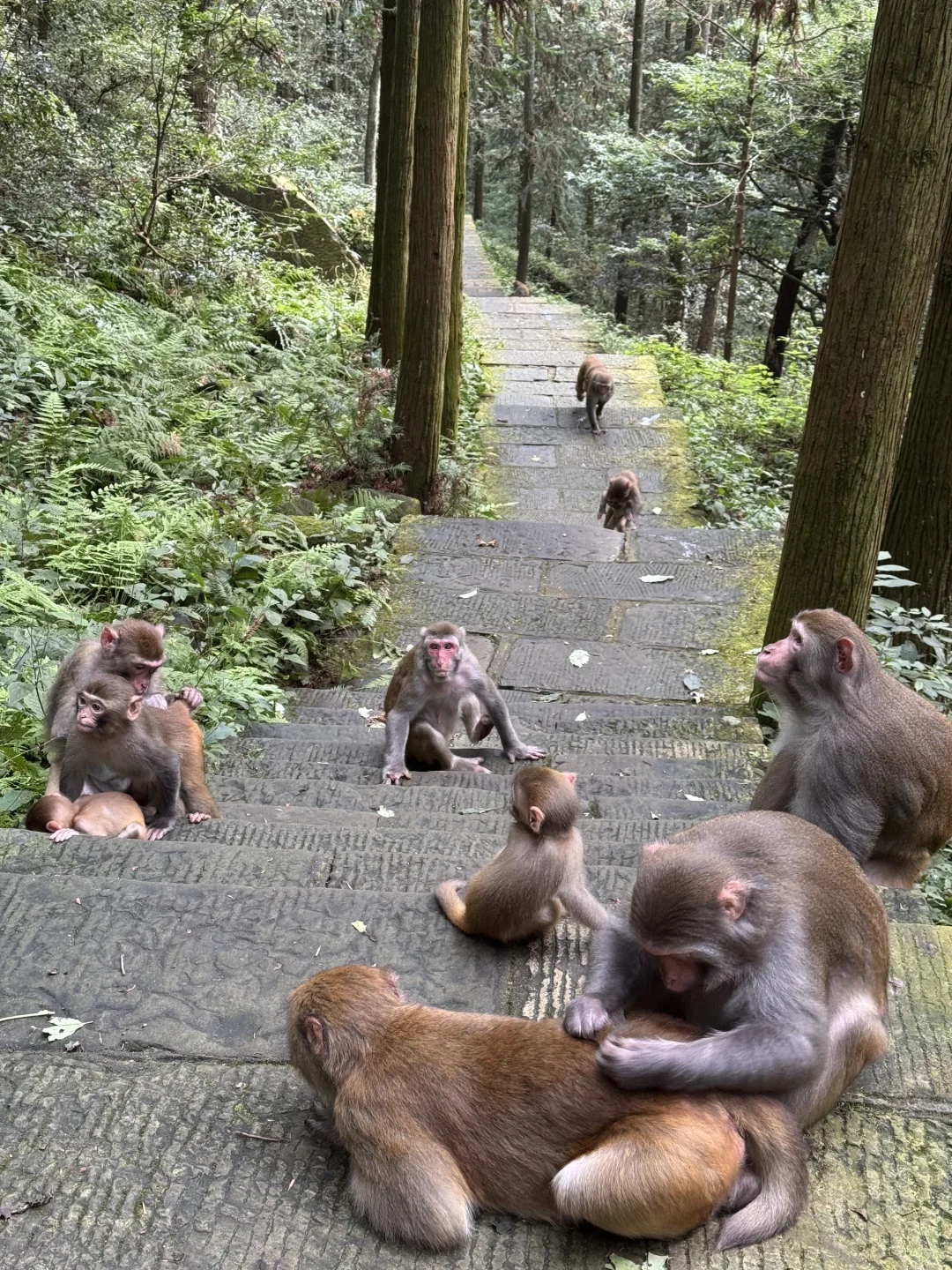 张家界最推荐酒店-四季来 •溪畔（已住）
