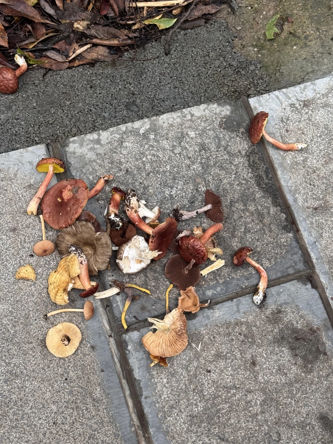 张家界最推荐酒店-四季来 •溪畔（已住）