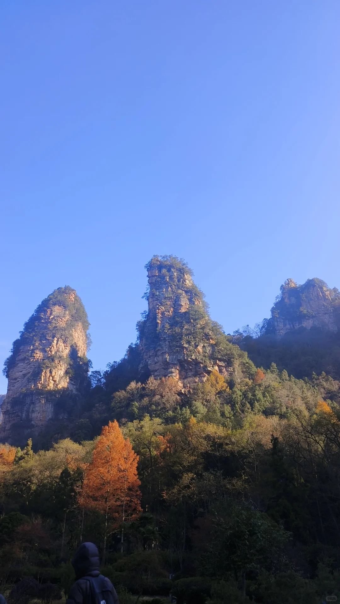 想去张家界国家森林公园的可以来看看