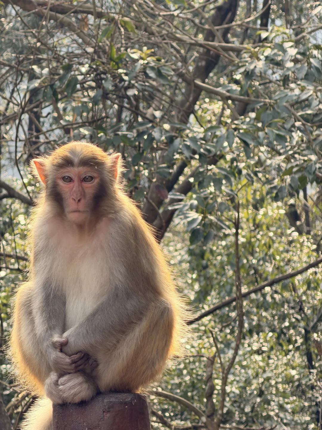 这都啥玩意儿啊！天门山你别太离谱！