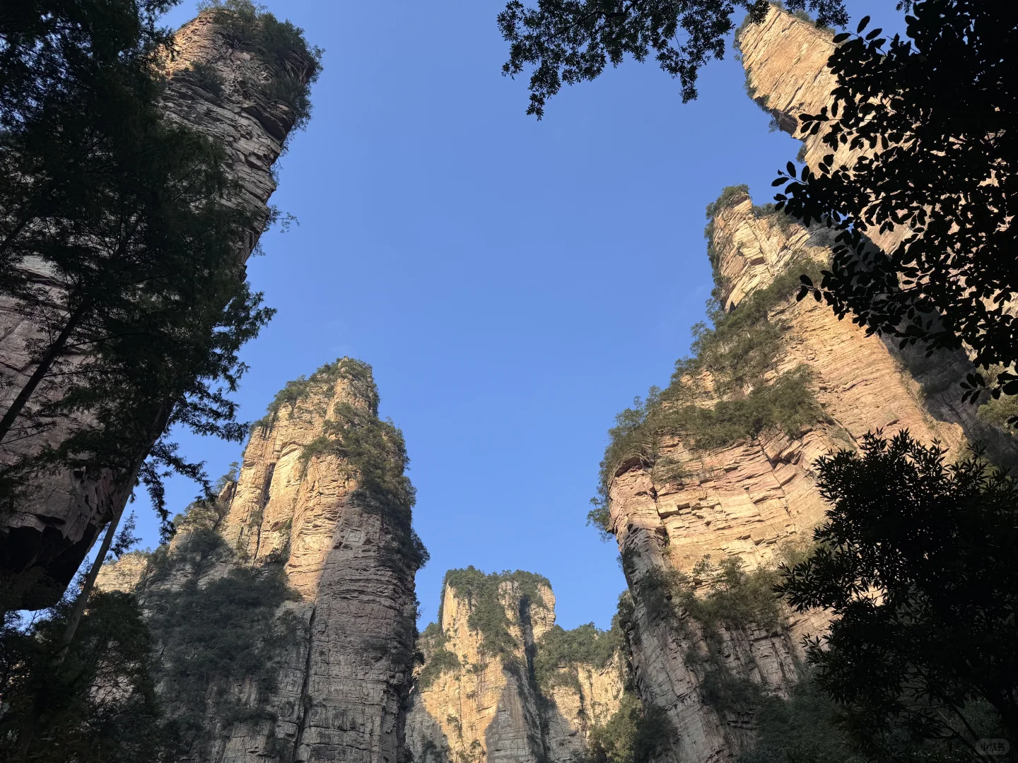 张家界最推荐酒店-四季来 •溪畔（已住）